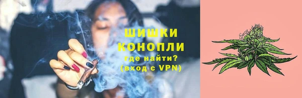 гашик Арсеньев