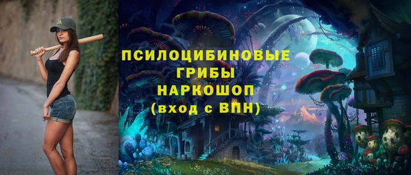 гашик Арсеньев