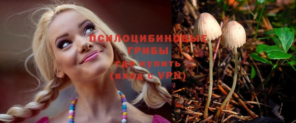 гашик Арсеньев