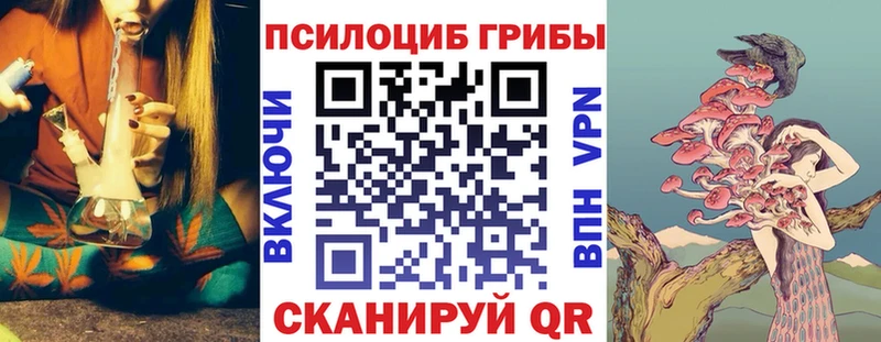 Псилоцибиновые грибы мицелий  Боровичи 
